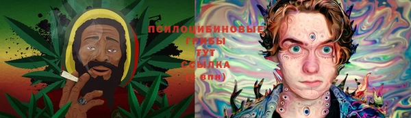 эйфоретик Алзамай